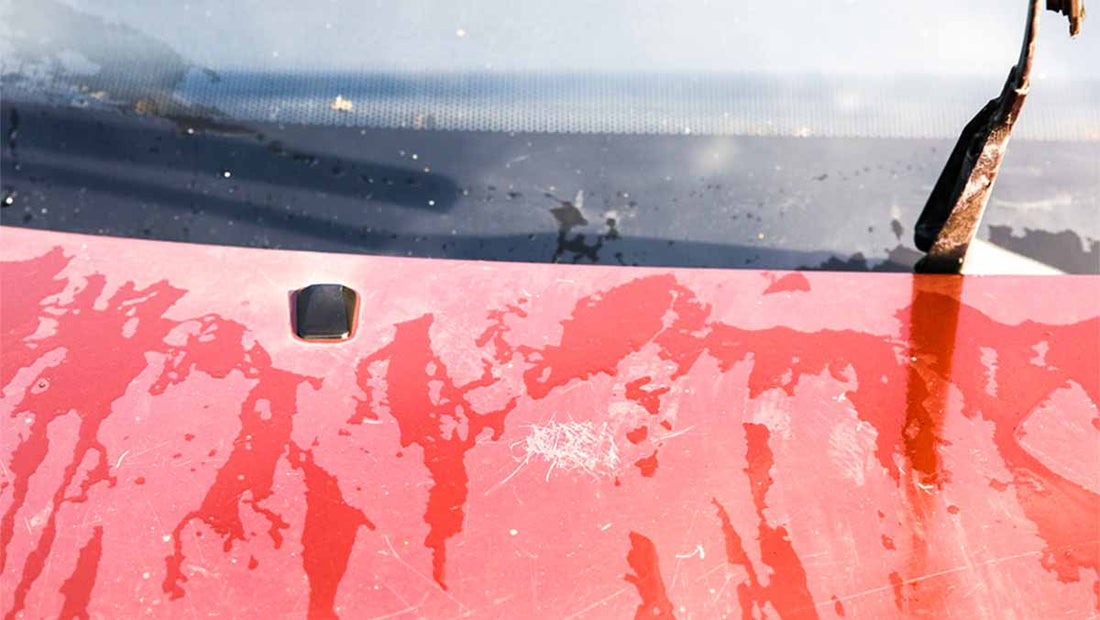 Ungleichmäßige Ausbesserungslacke auf der Fahrzeugoberfläche